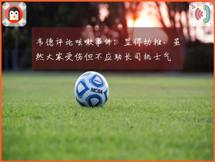 韦德评论咳嗽事件：显得幼稚，虽然大家受伤但不应助长司机士气