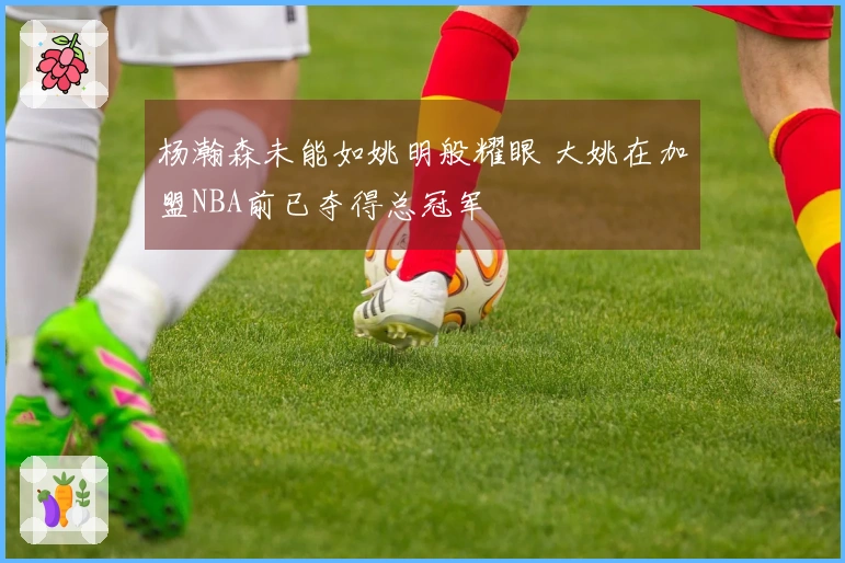 杨瀚森未能如姚明般耀眼 大姚在加盟NBA前已夺得总冠军