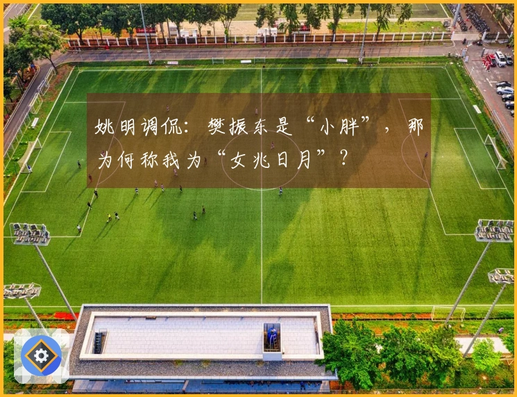 姚明调侃：樊振东是“小胖”，那为何称我为“女兆日月”？