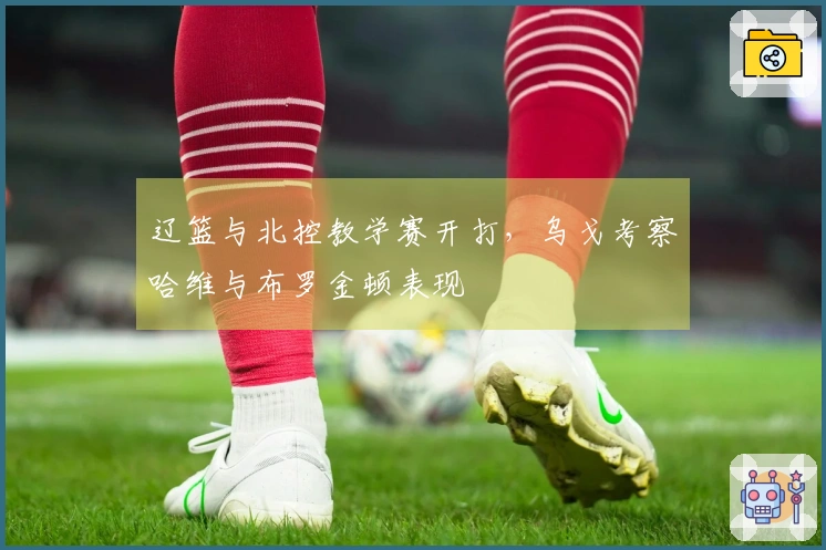 辽篮与北控教学赛开打，乌戈考察哈维与布罗金顿表现